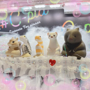 🐾スタッフおすすめ商品🐾