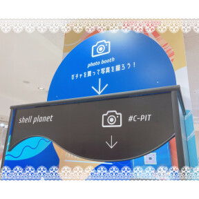 🐚C-pitのご紹介🐚