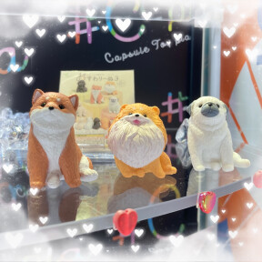 🐕スタッフおすすめ商品🐕