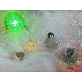 💡本日のスタッフおすすめ商品🕊️